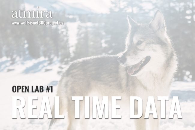 Portada-web-Real-time-data02