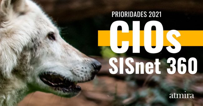 CIOS-wolf-2022