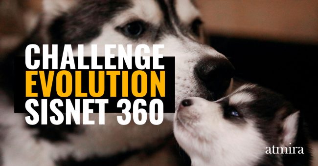 evolucion-continua-WOLF-2022