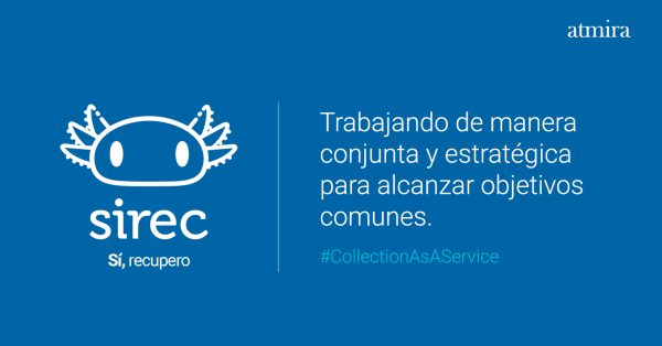 Trabajando de manera conjunta