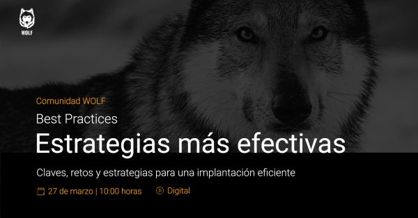 La Comunidad WOLF, promueve otro encuentro, esta vez sobre estrategias efectivas en SISnet